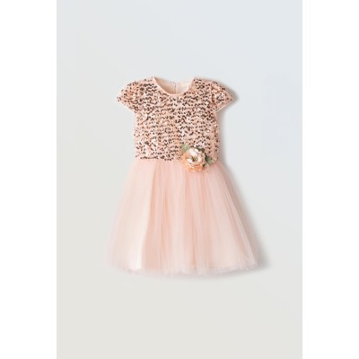 Tulle dress - POZ 1Y