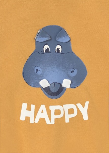 Φούτερ play - ΡΟΔΑΚΙΝΙ 12M