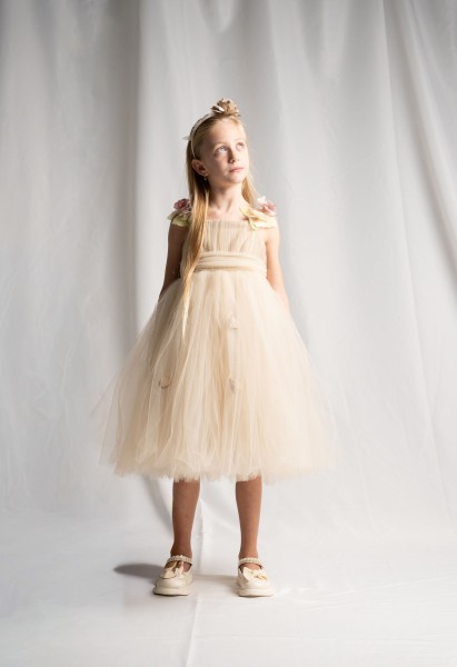 Φόρεμα τούλινο με στέκα - ΣΑΜΠΑΝΙΖΕ 2Y